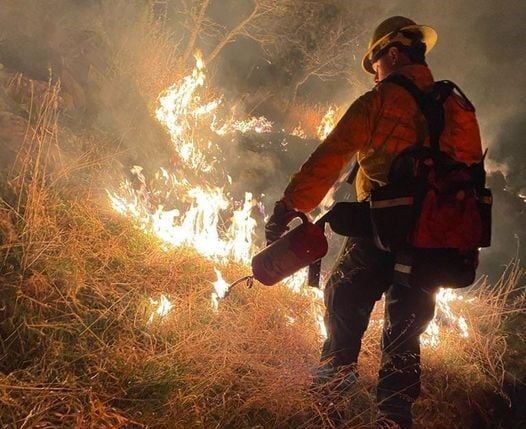 High Park firefighter